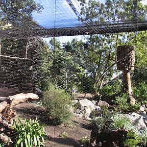 SDWAP - New Hornbill enclosure