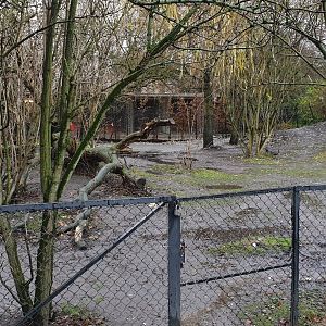 Lowland tapir enclosure