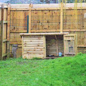 Overnight roost for red-breasted geese?