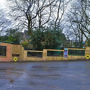 New African spurred tortoise enclosure