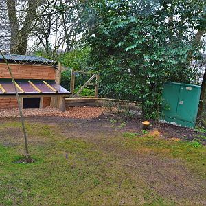 New African spurred tortoise enclosure