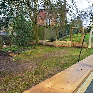 New African spurred tortoise enclosure