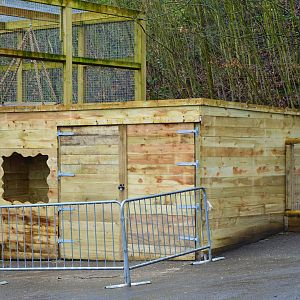 Visitor conservation area under construction