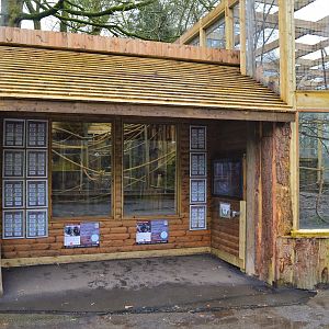 Sloth enclosure indoor viewing area