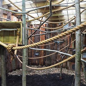Sloth on-show indoor area