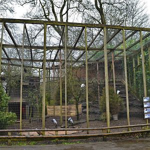 Large aviary near otter enclosure