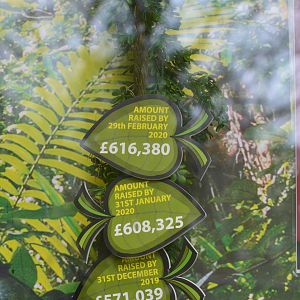 New orang enclosure fundraising total