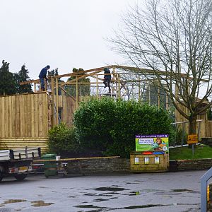 New ibis aviary under construction