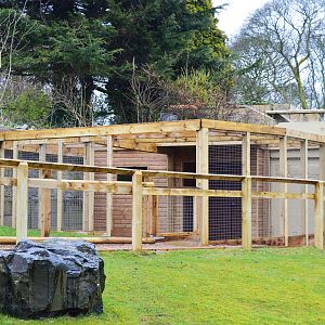 Red-necked wallaby housing