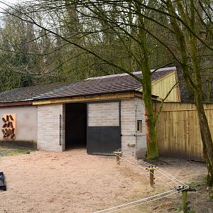 Camel house extension