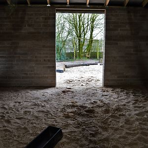 Inside part of new extension to camel house
