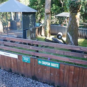 Rabbit/Guinea Pig Enclosure