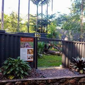 Rufous Bettong Enclosure