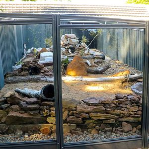 Perentie Enclosure