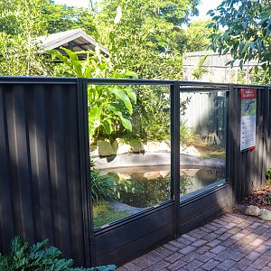 Second American Alligator Enclosure