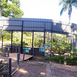 Future White-cheeked Gibbon Enclosure