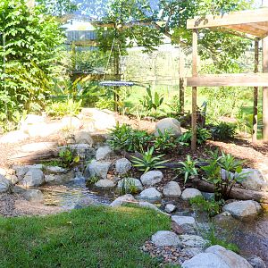 Future White-cheeked Gibbon Enclosure - Water Feature
