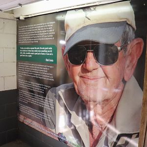 Reptile House Sign - Tribute to Bob Irwin