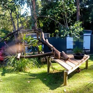 Rock Wallaby Enclosure