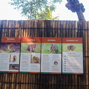 Quokka Signage