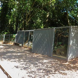 Tasmanian Devil Enclosures