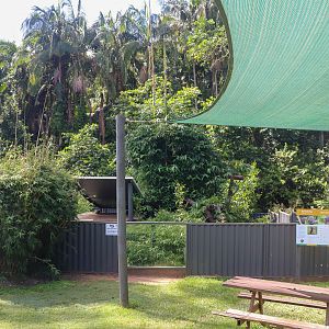 Binturong Enclosure