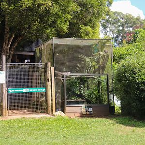 Burmese Python Enclosure