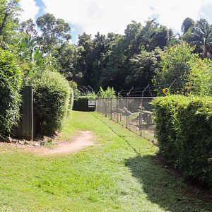 African Wild Dog Enclosure