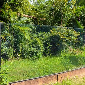 Second Binturong Enclosure