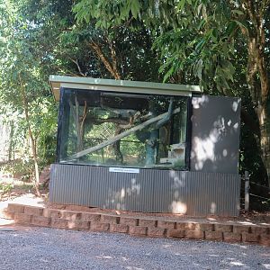 Olive Python Enclosure