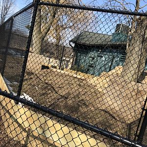 NEW Outdoor Aardvark Exhibit