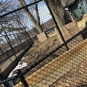 NEW Outdoor Aardvark Exhibit