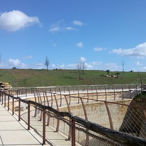 New carnivores crater - Part of the african lions enclosure on the right and part of the cheetahs enclosure in the back