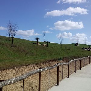 New carnivores crater - part of the new cheetahs enclosure