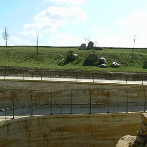 New carnivores crater - Part of the new cheetahs enclosure