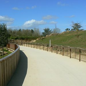 New carnivores crater - Part of the new cheetahs enclosure