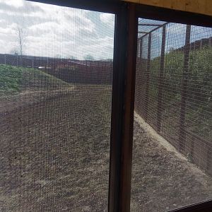 New carnivores carter - First observation hut