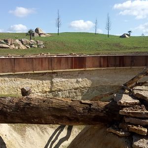 New carnivores carter - Small mammals enclosure ahead and cheetahs enclosure behind