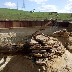 New carnivores carter - Small mammals enclosure ahead and cheetahs enclosure behind