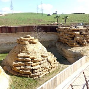 New carnivores carter - Small mammals enclosure ahead and cheetahs enclosure behind