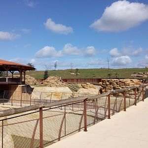 New carnivores carter - General view