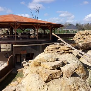 New carnivores carter - Small mammals exhibit and main observation hut