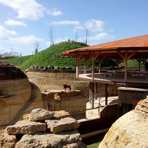 New carnivores crater - General view - See the lions ?