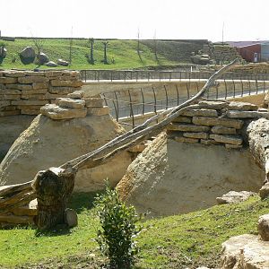 New carnivores crater - Future small mammals exhbiti - Upper part