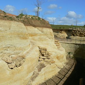 New carnivores crater - General view