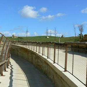 New carnivores crater - General view