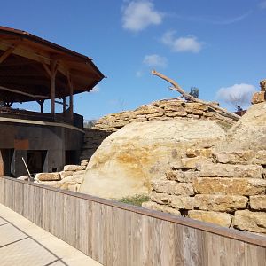 New carnivores crater - Future small mammals exhbiti - lower part