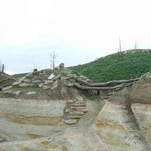 New carnivores crater - New african lions exhibit