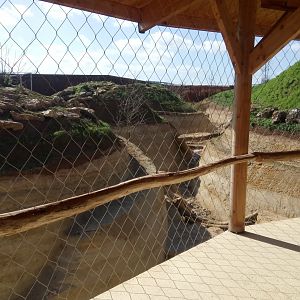 New carnivores crater - New african lions exhibit