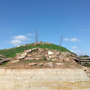 New carnivores crater - New african lions exhibit